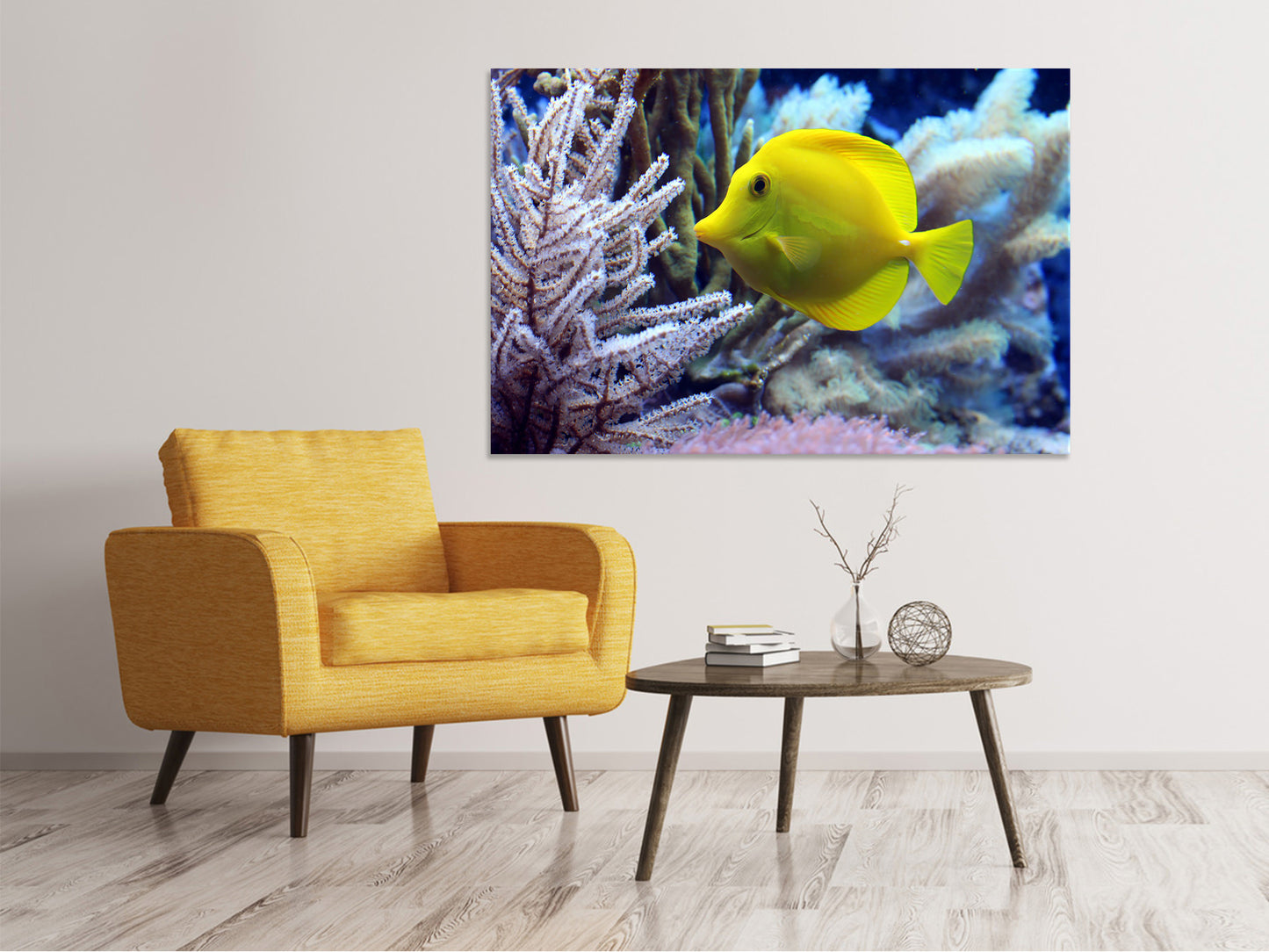 Leinwandbild Gelber Doktorfisch XL