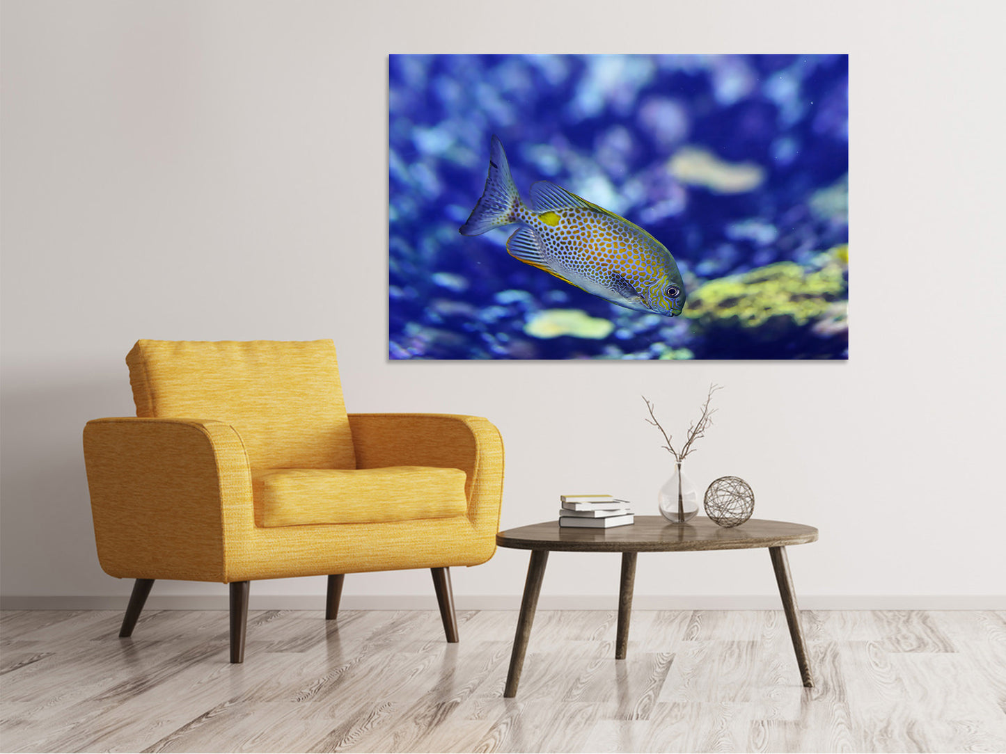 Leinwandbild Ein Fisch im Aquarium