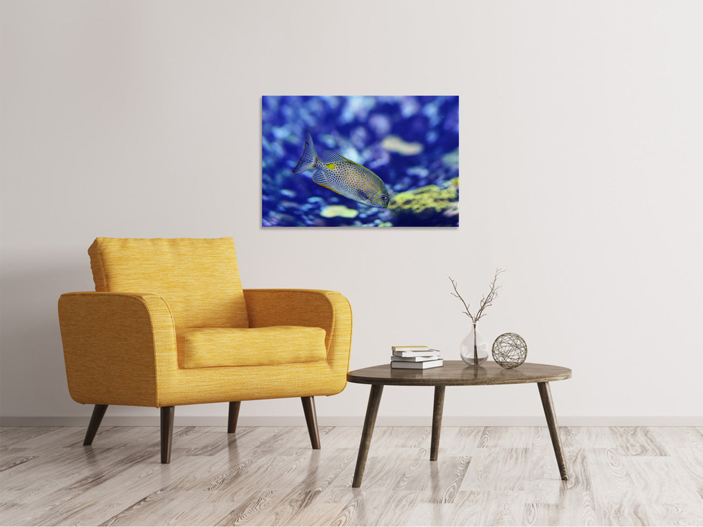 Leinwandbild Ein Fisch im Aquarium