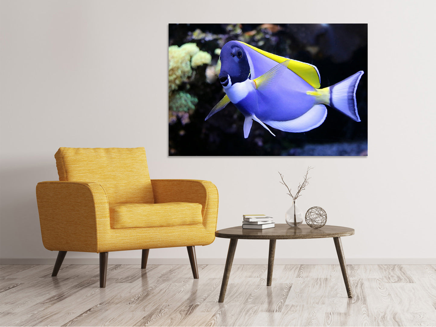 Leinwandbild Der Weisskehl Doktorfisch