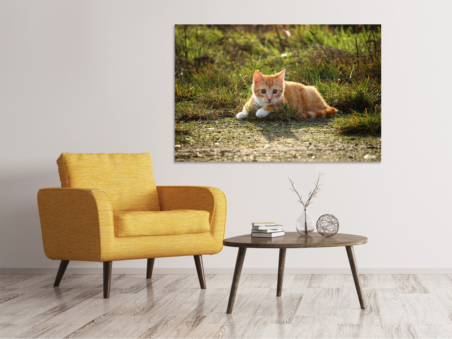 Leinwandbild Kitten in der Natur