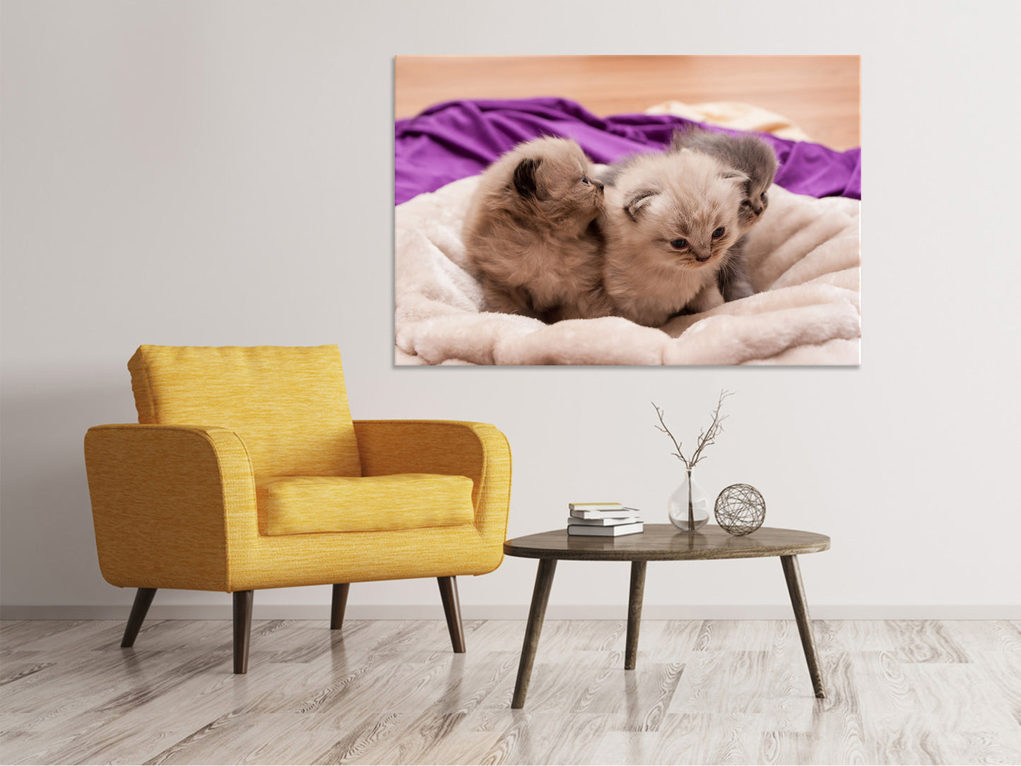 Leinwandbild Kitten Trio zum Verlieben