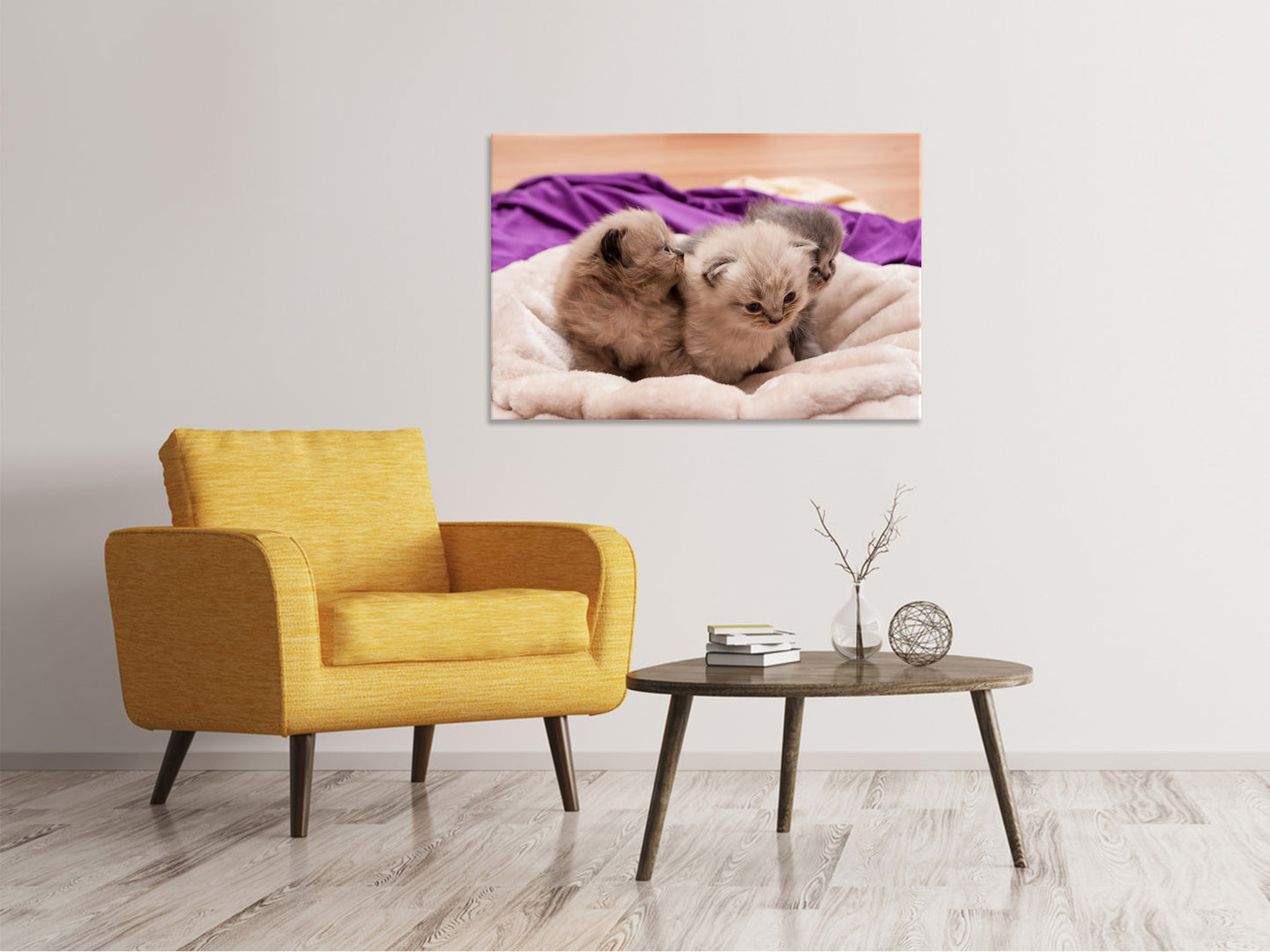 Leinwandbild Kitten Trio zum Verlieben