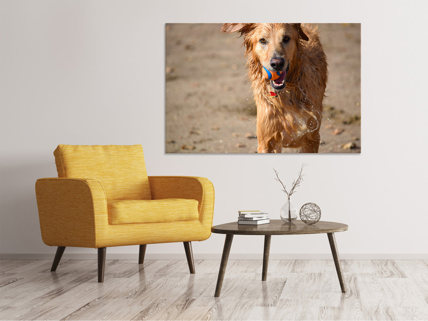Leinwandbild Nasser Hund