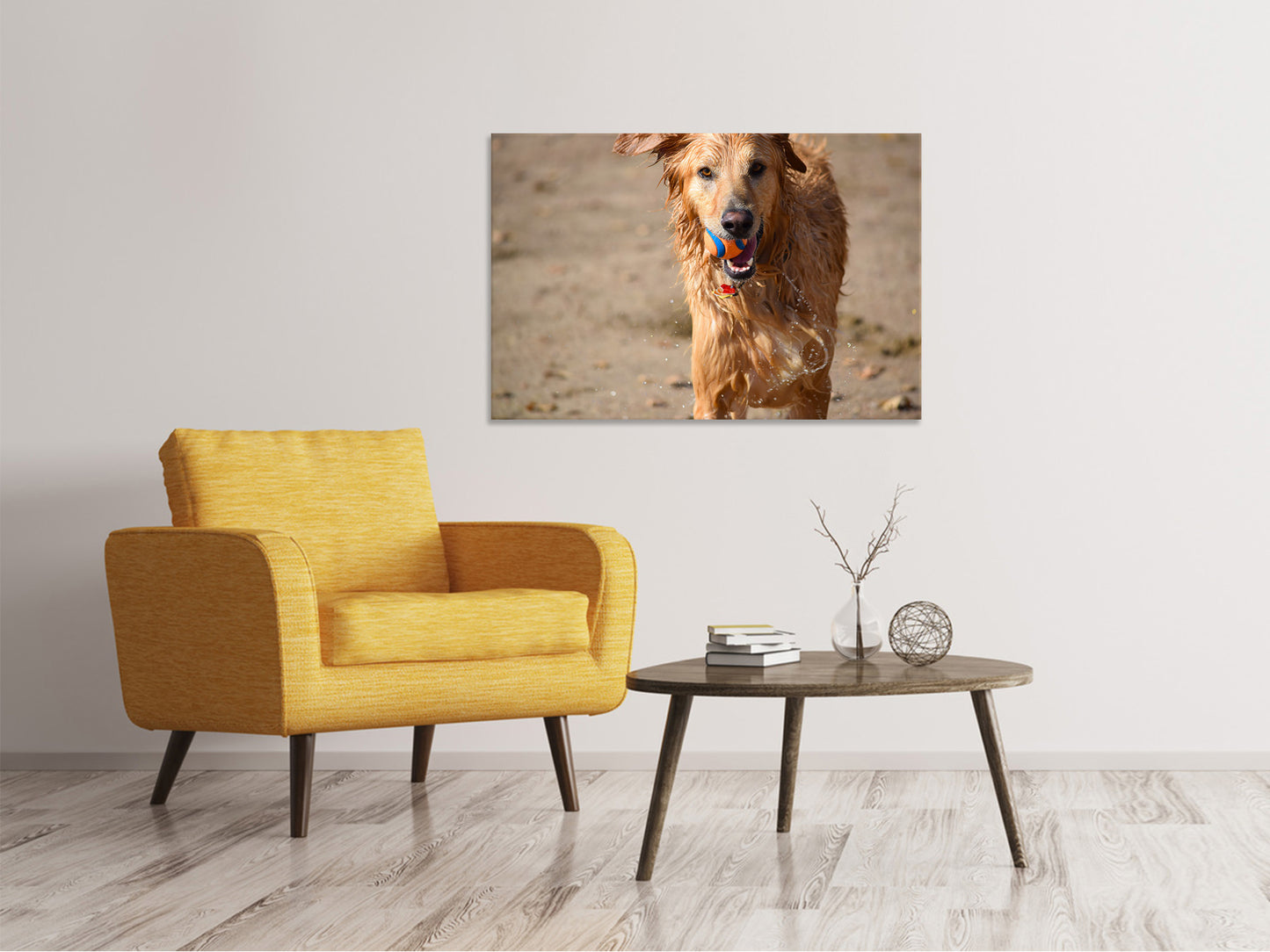 Leinwandbild Nasser Hund