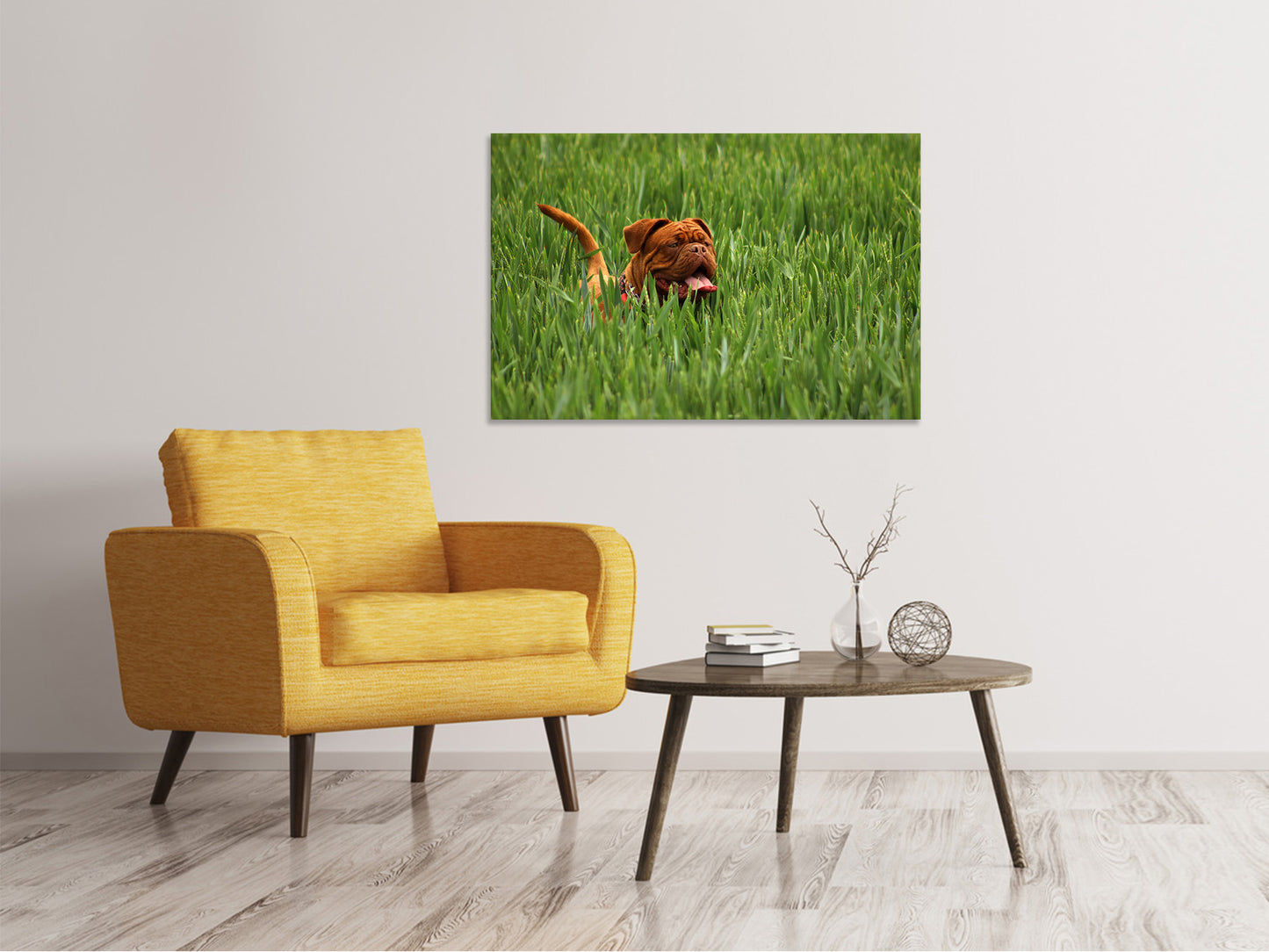 Leinwandbild Der Mastiff im Gras