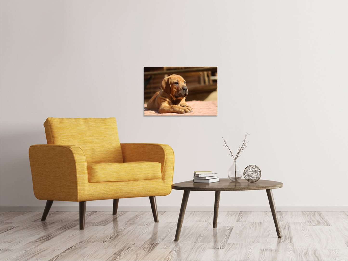 Leinwandbild Trauriger Hundeblick