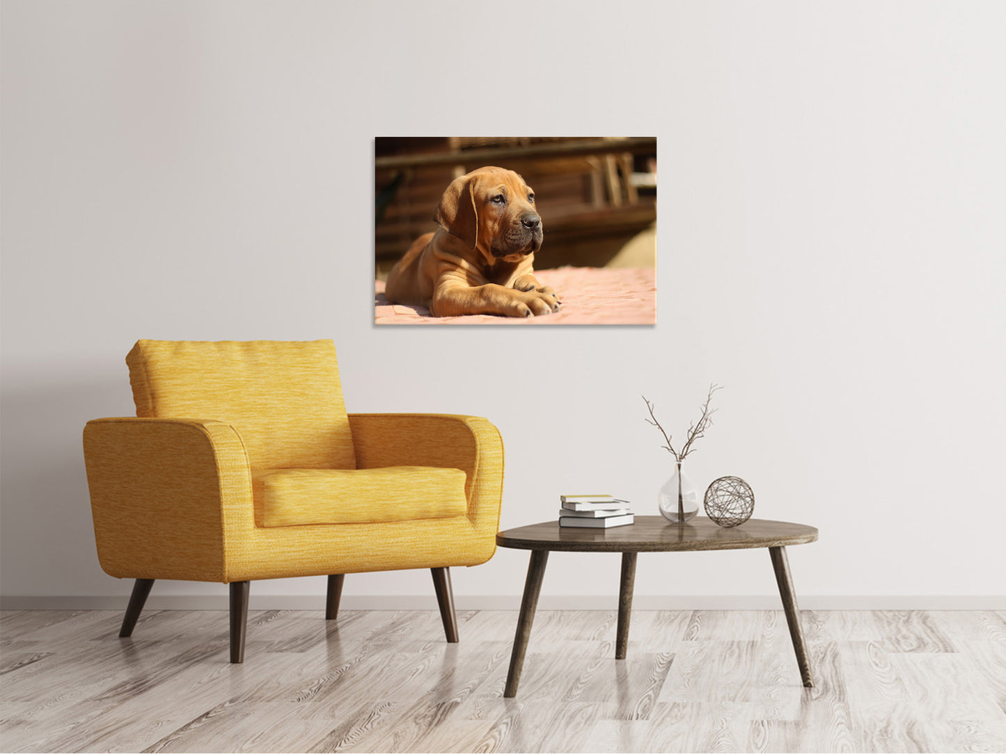 Leinwandbild Trauriger Hundeblick