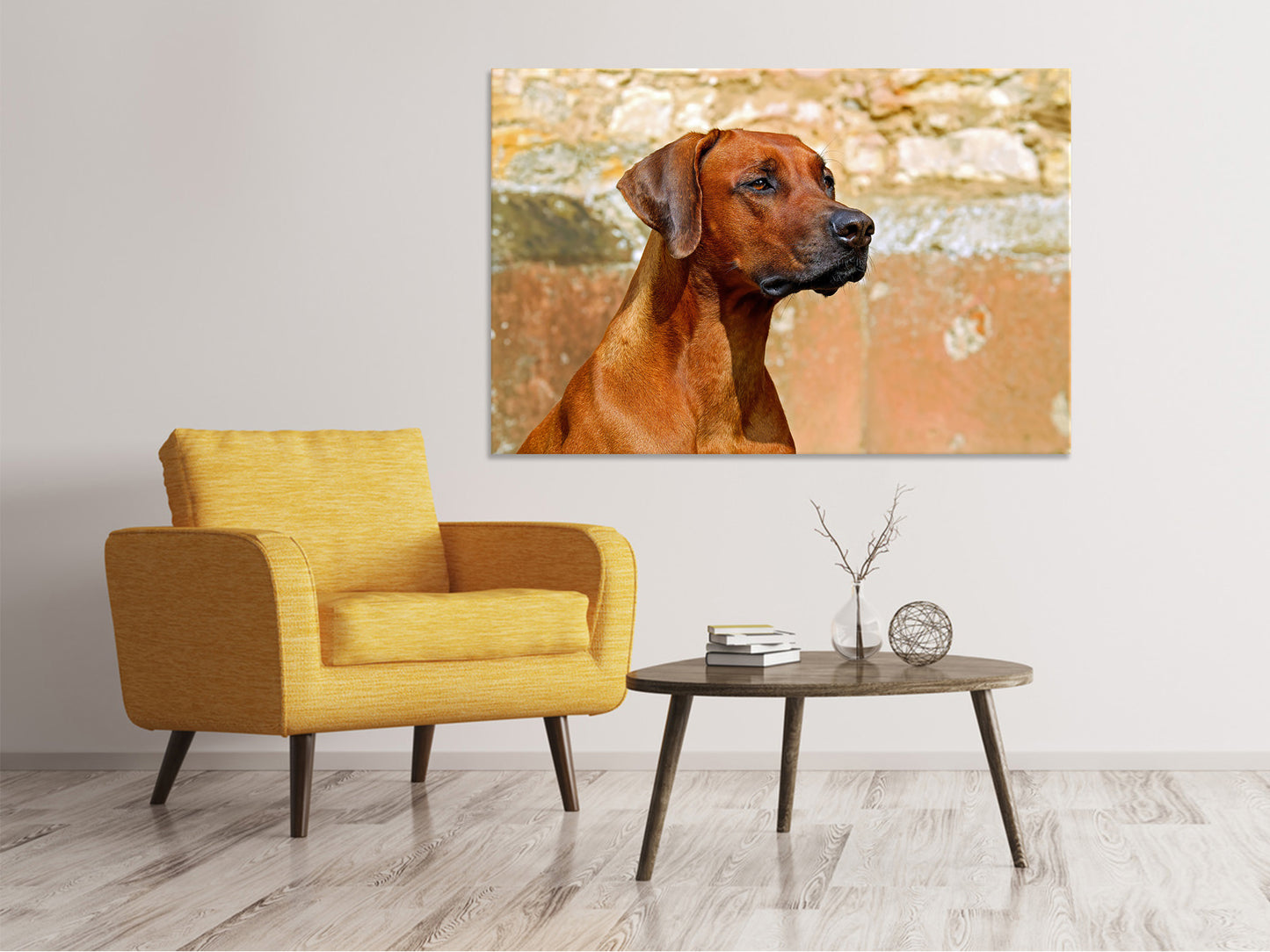 Leinwandbild Wachsamer Rhodesian Ridgeback