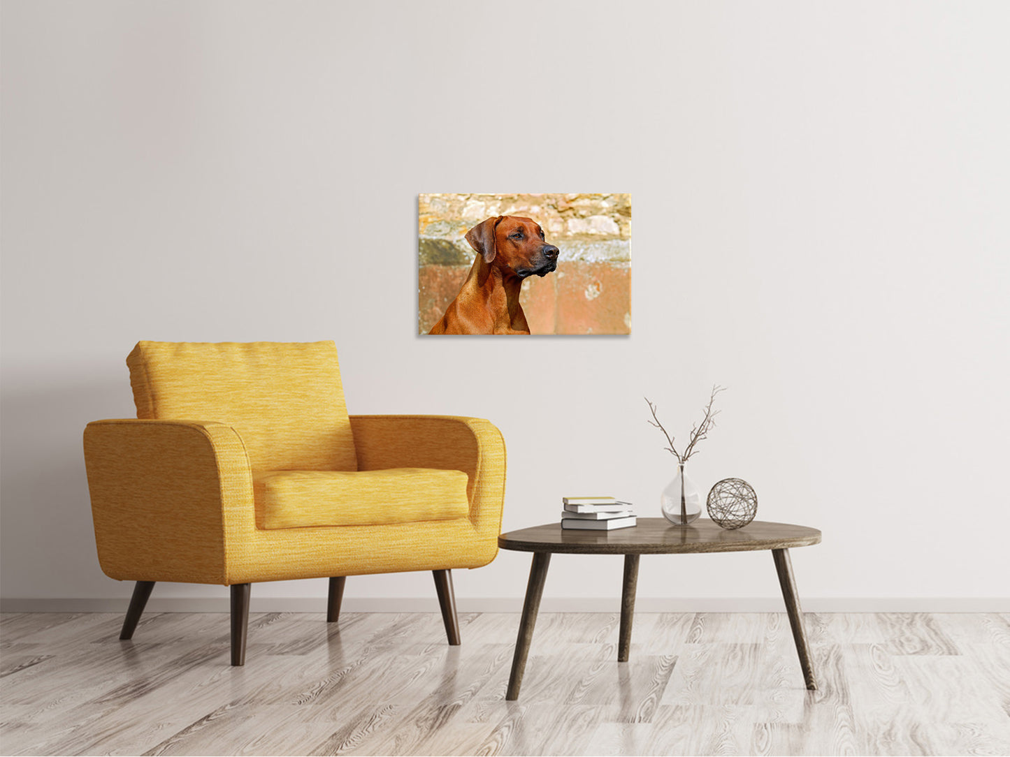 Leinwandbild Wachsamer Rhodesian Ridgeback