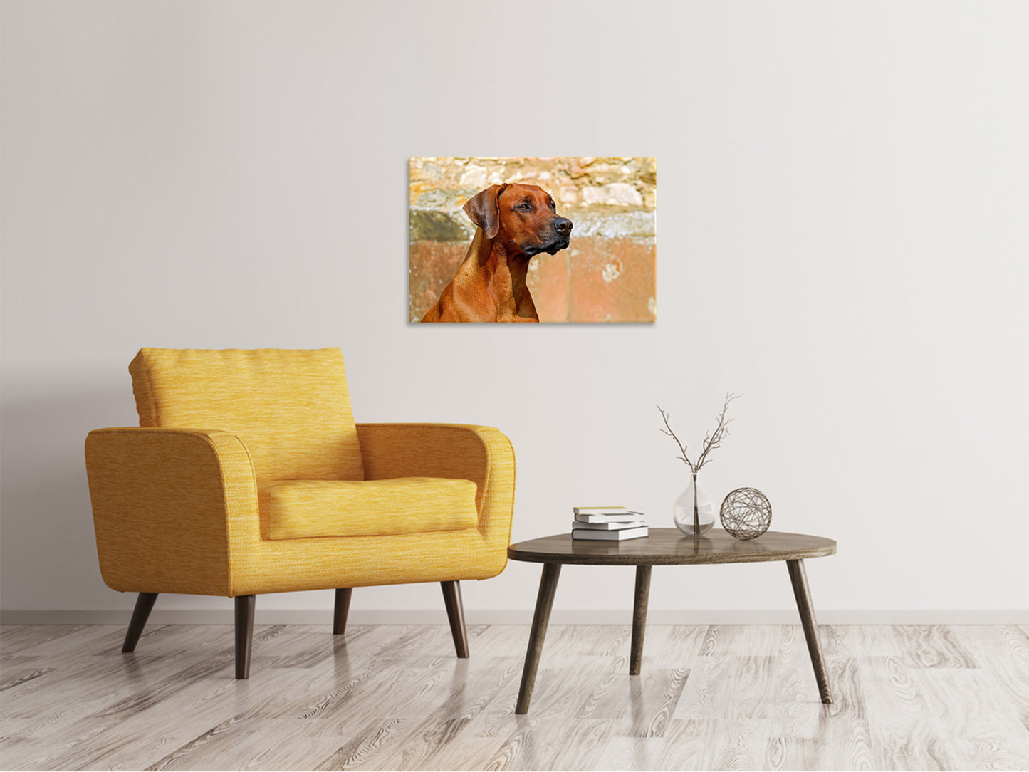 Leinwandbild Wachsamer Rhodesian Ridgeback