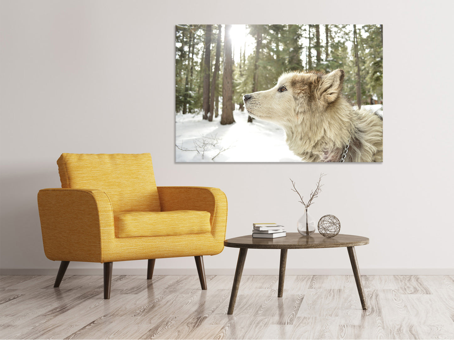 Leinwandbild Der Alaskan Malamute