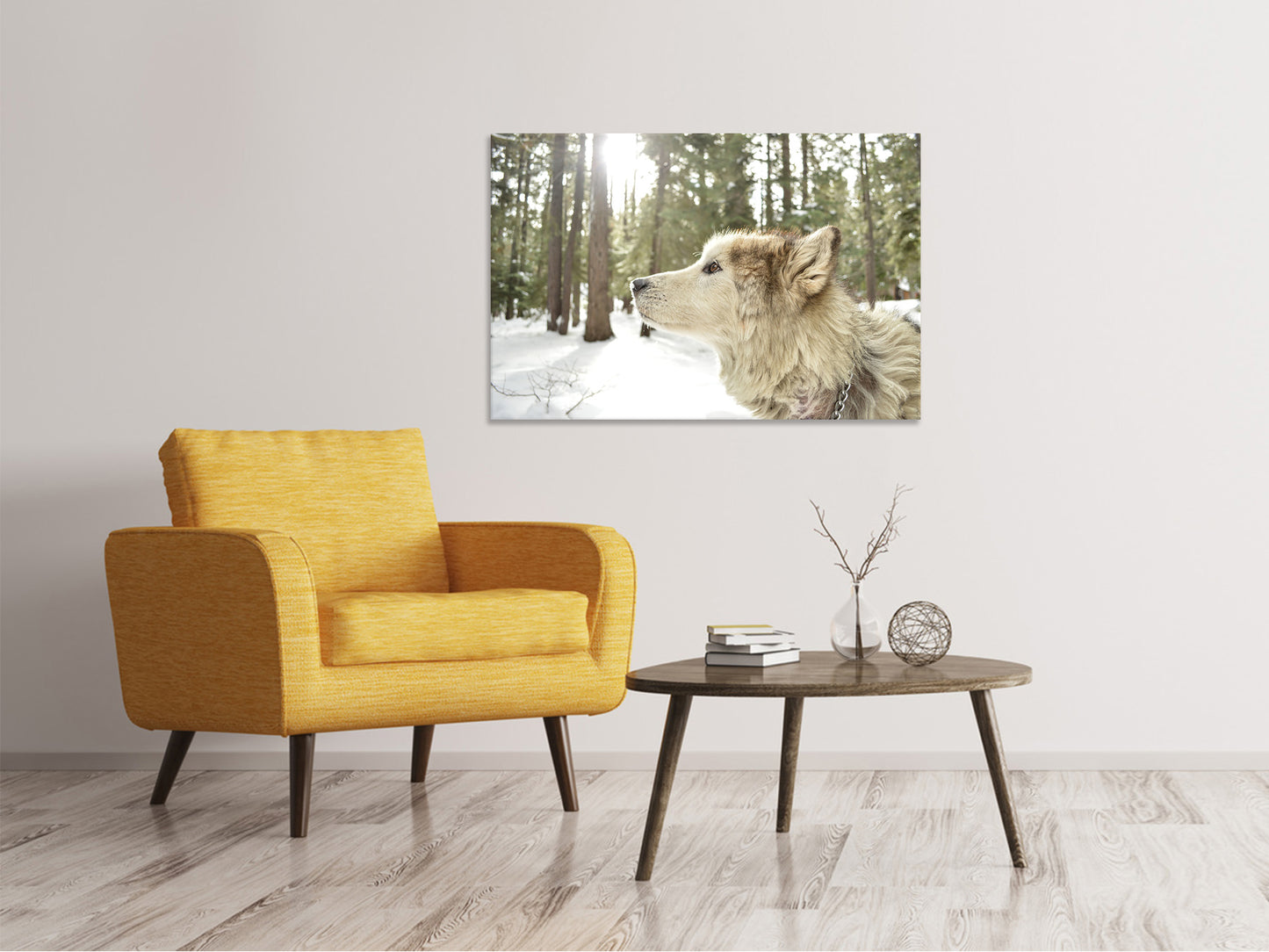 Leinwandbild Der Alaskan Malamute
