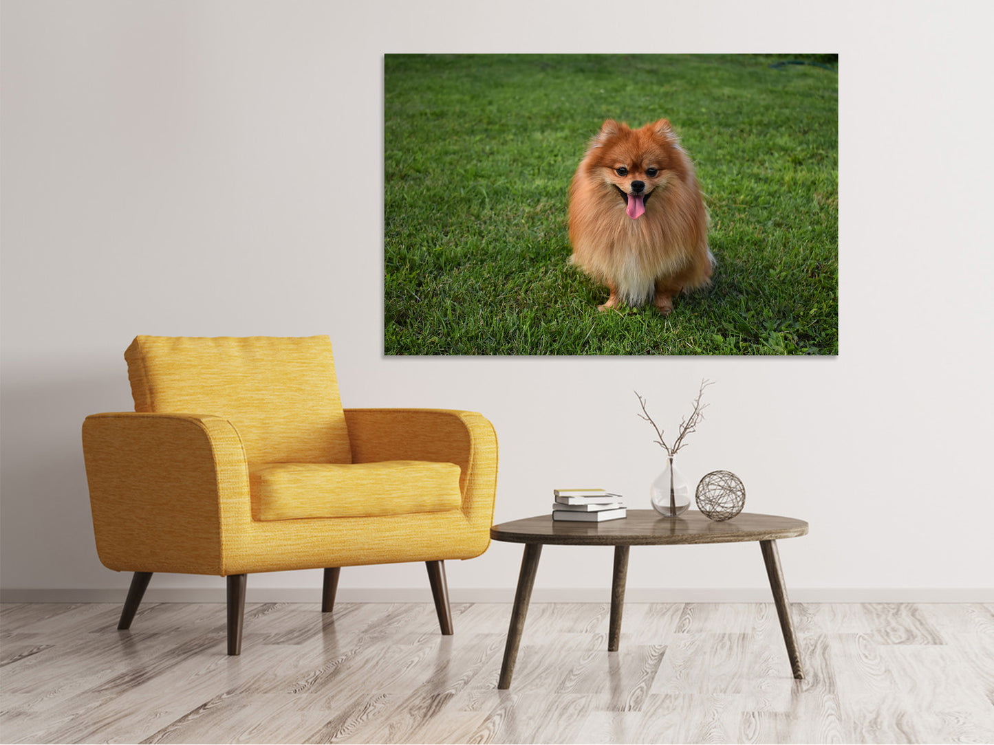 Leinwandbild Der kleine Spitz
