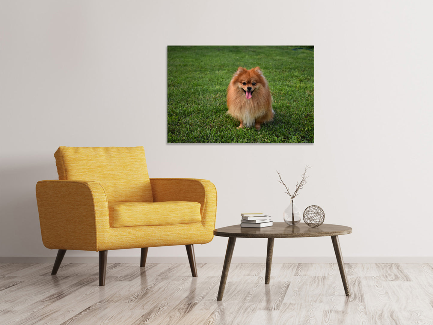 Leinwandbild Der kleine Spitz
