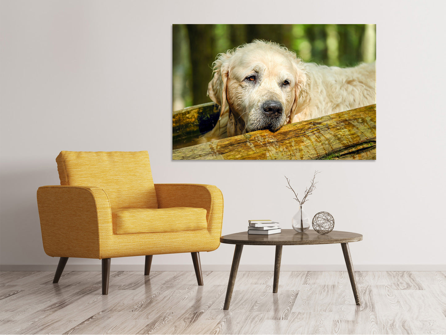 Leinwandbild Golden Retriever in der Natur
