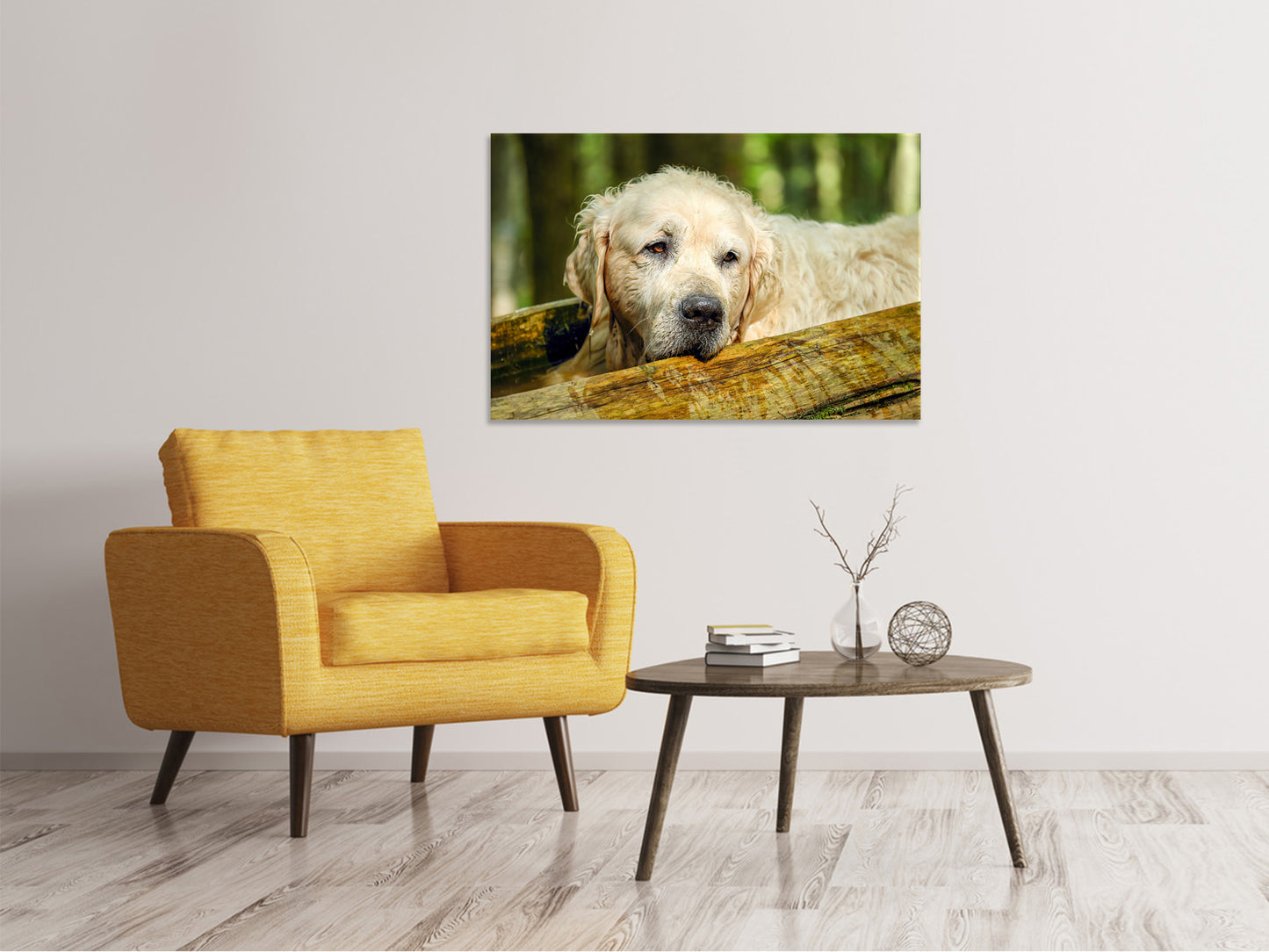 Leinwandbild Golden Retriever in der Natur