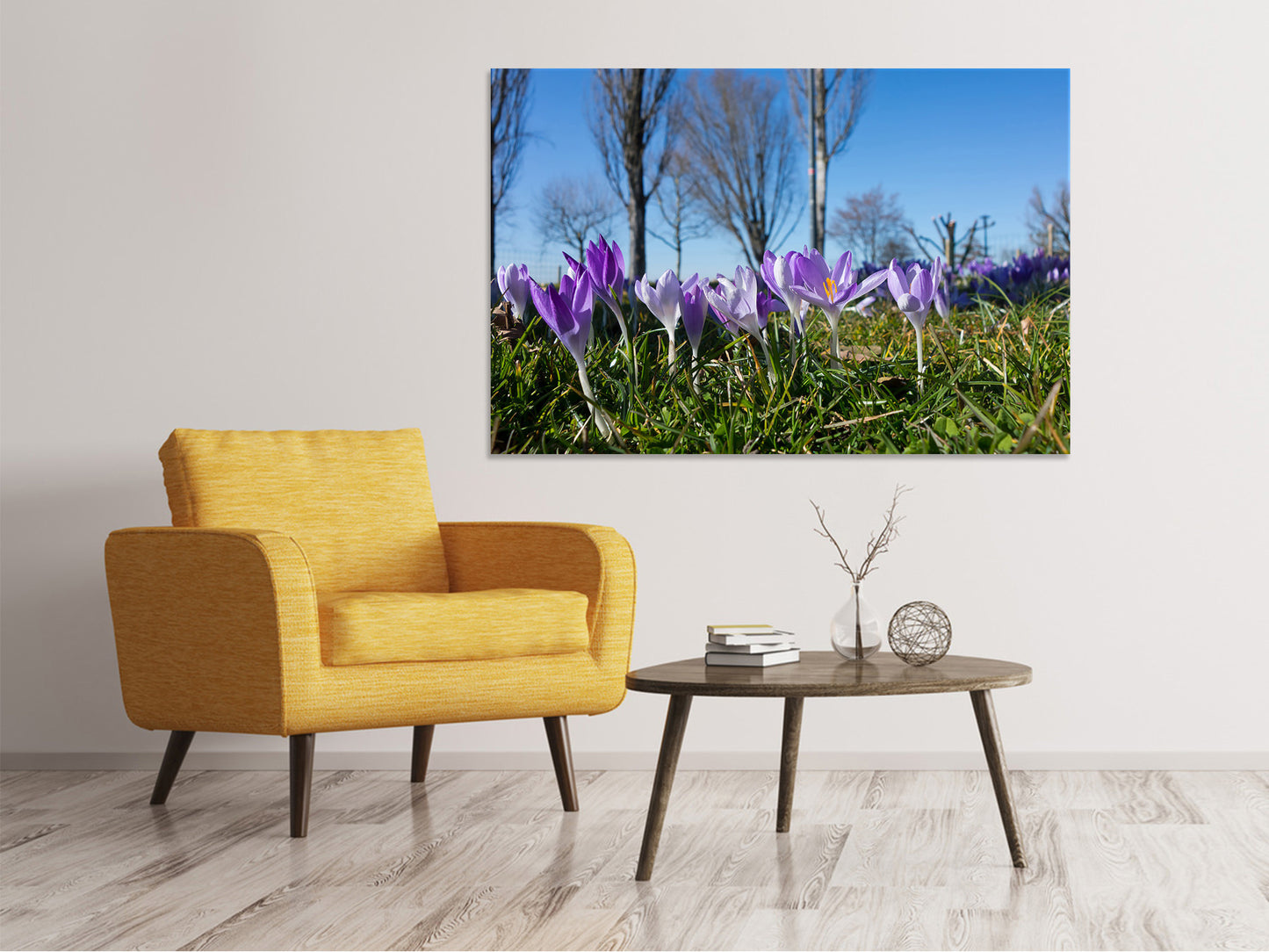 Leinwandbild Lila Krokus in der Natur