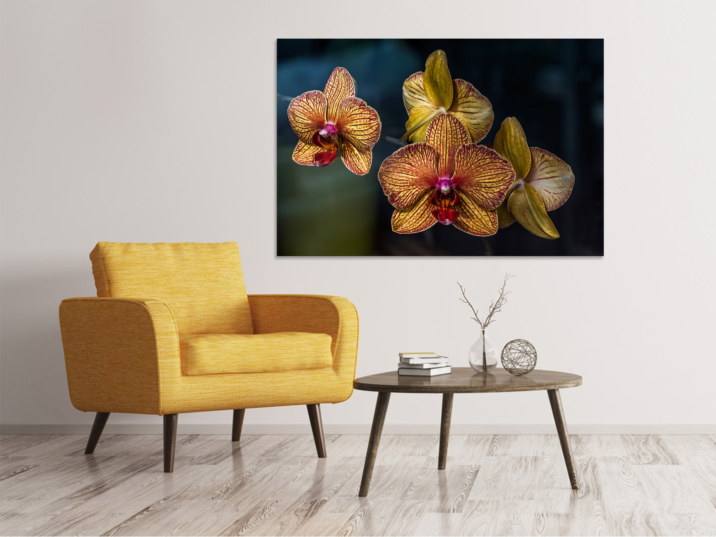 Leinwandbild Orchidaceae