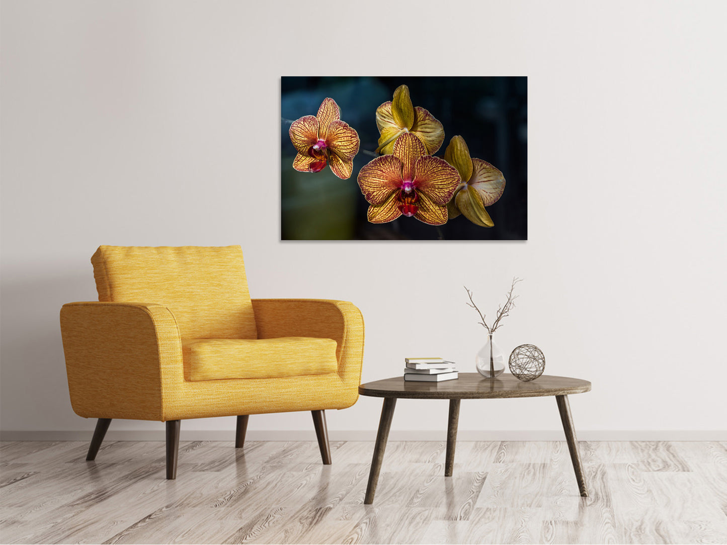 Leinwandbild Orchidaceae