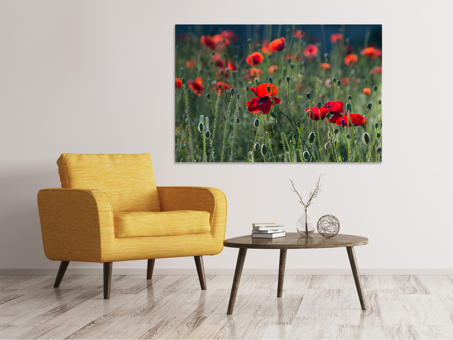 Leinwandbild Wilder Mohn