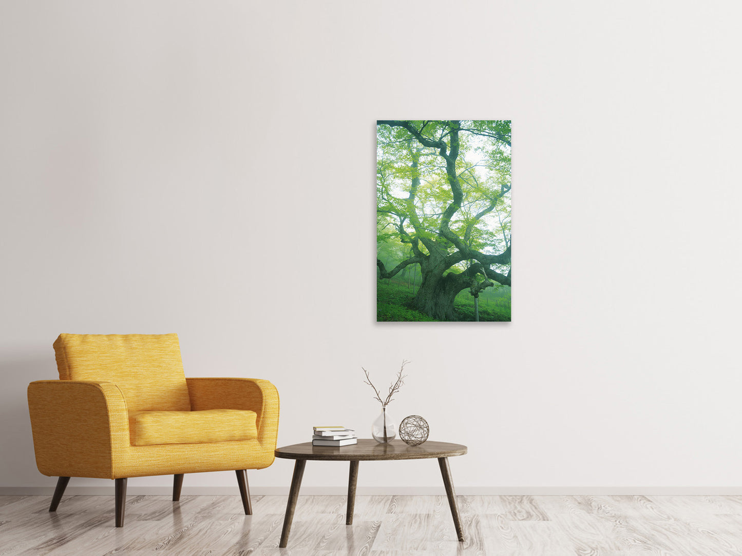 Leinwandbild Der alte Baum