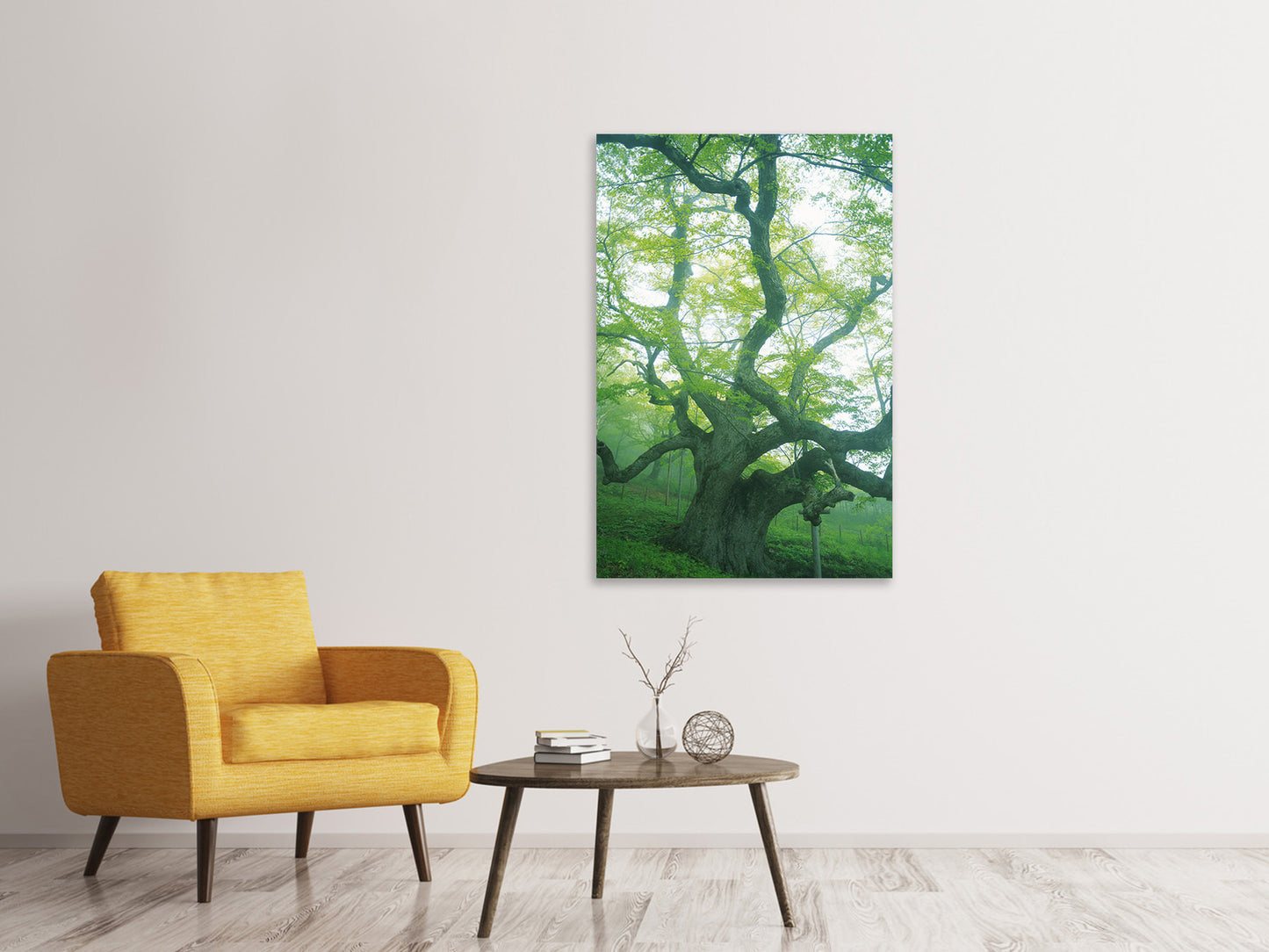 Leinwandbild Der alte Baum