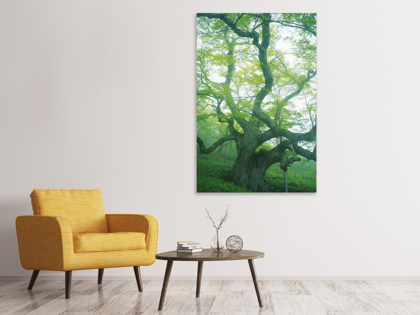 Leinwandbild Der alte Baum