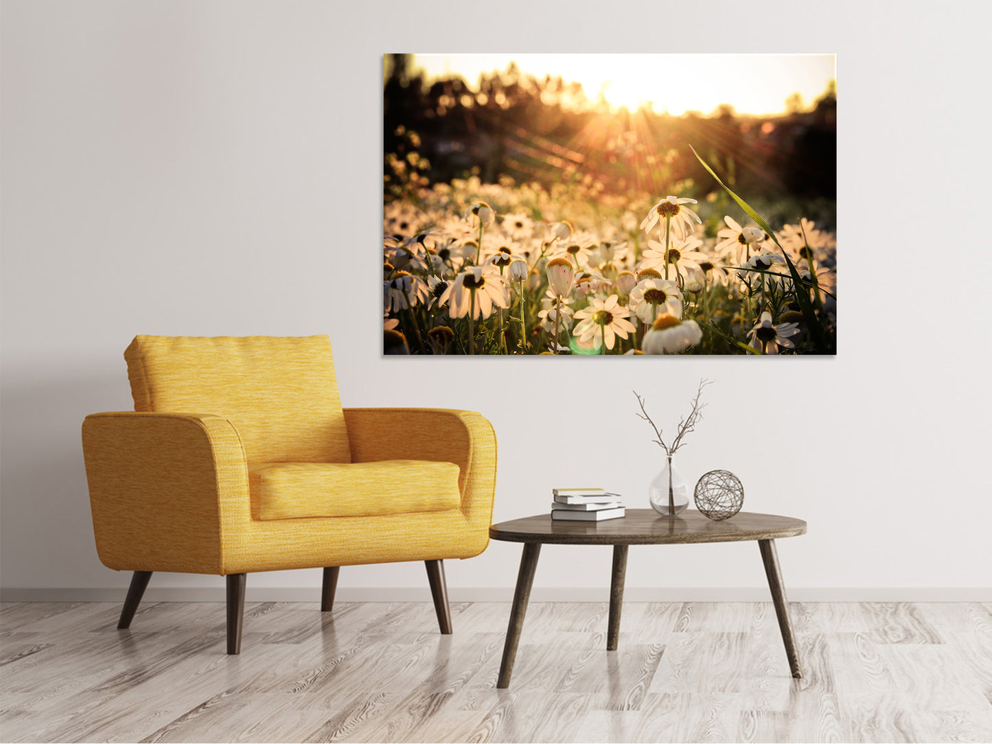Leinwandbild Gänseblümchen bei Sonnenuntergang