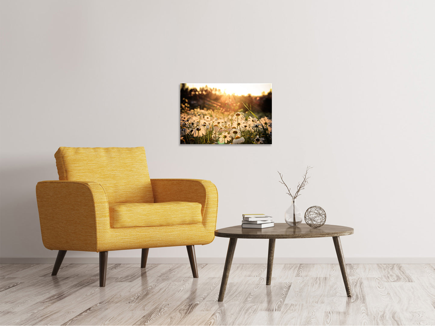 Leinwandbild Gänseblümchen bei Sonnenuntergang