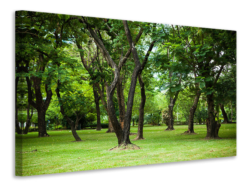 Leinwandbild Kirschbaum-Garten