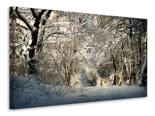 Leinwandbild Ein Winter Traum