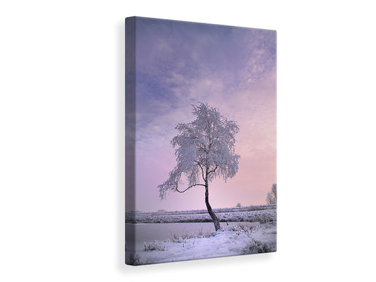 Leinwandbild Ein Winterbaum