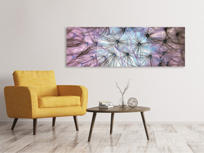 Leinwandbild Panorama Pusteblume im Lichterspiel