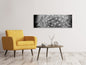 Leinwandbild Panorama Löwenzahn in XXL
