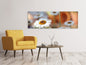 Leinwandbild Panorama Margeriten XL