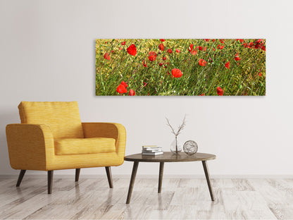 Leinwandbild Panorama Der Mohn im Wind