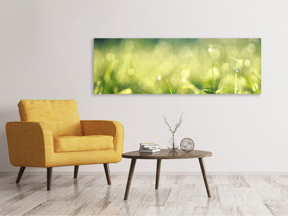 Leinwandbild Panorama In der Wiese