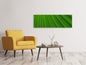 Leinwandbild Panorama Palm Streifen 1