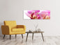Leinwandbild Panorama Prächtige Phalaenopsis