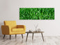 Leinwandbild Panorama Die Wiese in XL