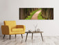 Leinwandbild Panorama Ein Weg im Wald