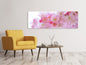 Leinwandbild Panorama Japanische Kirschblüte XL
