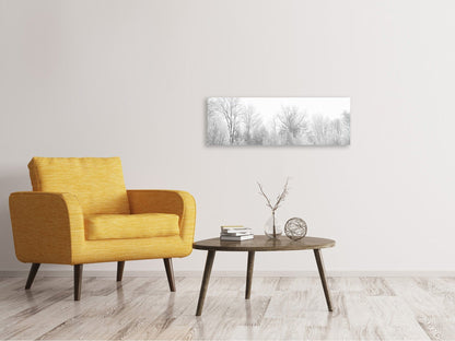 Leinwandbild Panorama Birken im Schnee