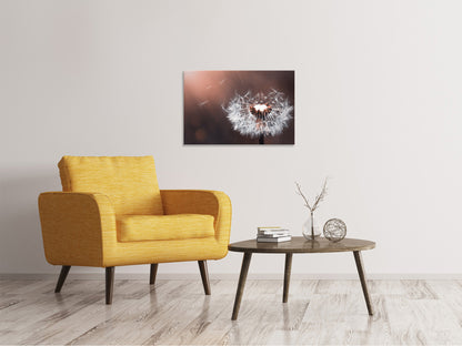 Leinwandbild Pusteblume im Abendlicht