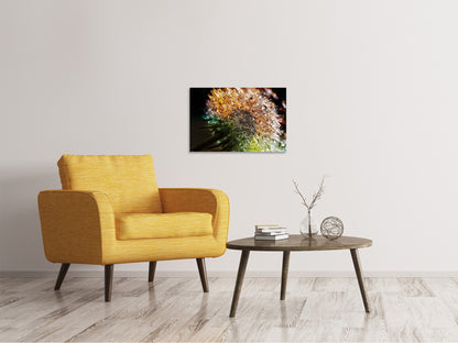 Leinwandbild Pusteblume im Morgentau