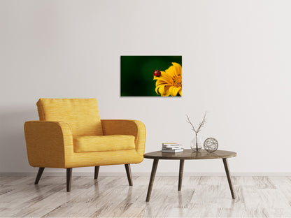 Leinwandbild Marienkäfer auf der Sonnenblume