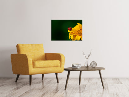 Leinwandbild Marienkäfer auf der Sonnenblume