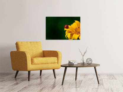 Leinwandbild Marienkäfer auf der Sonnenblume