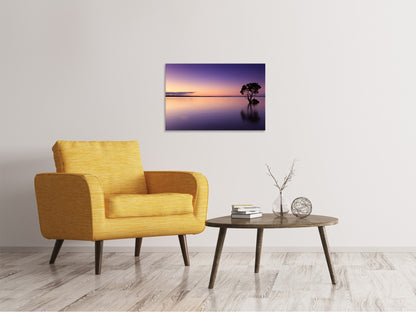 Leinwandbild Sonnenuntergang am Baum im Wasser